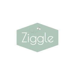 ziggle